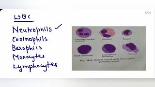 Hematopoiesis DMLT and BSc Lab technician Dr Vibha Aithal [upl. by Ahcim]