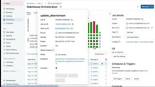 Databricks Workflows [upl. by Kcyrred937]