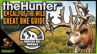 FIND YOUR GREAT ONE amp DIAMONDS ON RANCHO DEL ARROYO Whitetail Drink Zone Guide Call of the wild [upl. by Jorgensen]