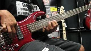 Traben Array 5 String bass [upl. by Meehan573]