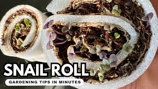 New Seed Starting Hack Snail Roll Root Training Saves Space Bonus Tips to Pregerminate Tiny Seeds [upl. by Iorgo]