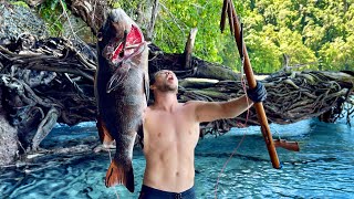 Solo Survival Spearfishing  Catch n Cook Amazing Fish [upl. by Vlada]