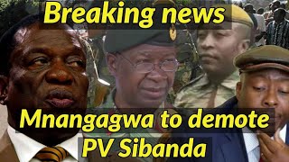 Mnangagwa to demote PV Sibanda  its end in tears  PV Sibanda dont accept nonsense 🇿🇼🇿🇼🇿🇼 [upl. by Hakkeber451]