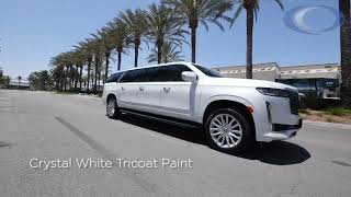 2023 Cadillac Escalade ESV 6 Door Customized [upl. by Grindle]