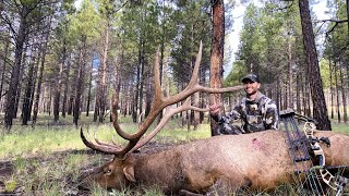 Arizona Archery Bulls [upl. by Sussna109]