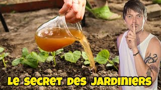 Le SECRET des JARDINIERS pour réussir chaque année leur POTAGER [upl. by Anaejer440]