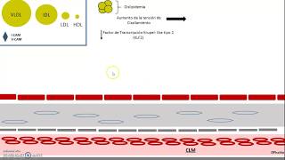 Fisiopatologia de la Cardiopatia Isquemica Parte 2 [upl. by Teddy]