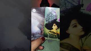 QUEM É SEU NOVO AMOR tarot [upl. by Warchaw]