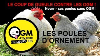 Poules  Stop aux OGM [upl. by Marchese801]