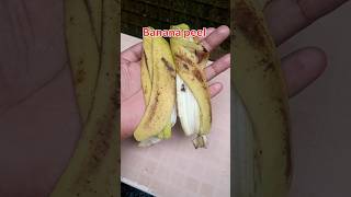 Banana Peel fertilizer for any plants  Homemade Fertilizer shorts youtubeshorts fertilizer [upl. by Acirea]