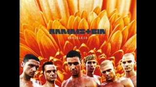 Rammstein  Herzeleid 1995 8bit full album [upl. by Niac]