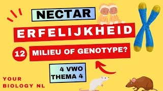 4 vwo  Erfelijkheid  12  Milieu of genotype [upl. by Margalo]