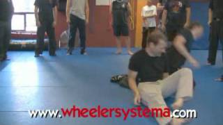 Martin Wheeler  Highlights from Montreal Systema Seminar 2009 [upl. by Ramgad167]