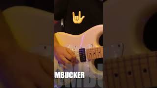 Single coil vs p90 vs humbucker rubenaple guitar guitarra pickups [upl. by Alraep]