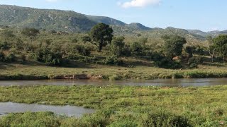 A view over the Kruger Park from Kambaku River Lodge [upl. by Ramel]