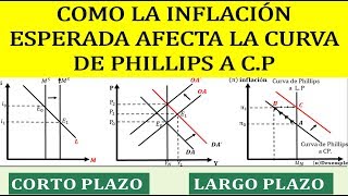 COMO LA INFLACION ESPERADA DESPLAZA LA CURVA DE PHILLIPS A CP [upl. by Deery]