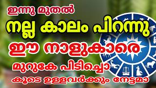 ശുക്രൻ തെളിയുന്ന നക്ഷത്രങ്ങൾ Astrology malayalam [upl. by Notyarb541]