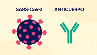 Tratamiento de COVID19 con anticuerpos monoclonales ¿Qué es y cómo funciona [upl. by Akimak904]