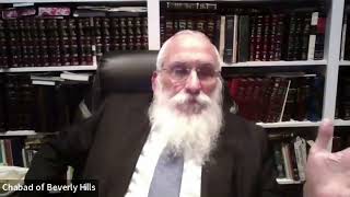 What You Need to Know About Lashon Hara  Chassidus and Halacha [upl. by Aipotu833]