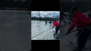 Hooligan fishing at Seward Alaska… fishing anchorage alaska recreation eulachon mountains [upl. by Siloam]