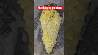 Starfish amp potatoes for dinner fish potatoes food easyrecipe fishrecipe potatorecipe homecook [upl. by Tronna]