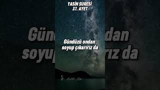 Kur’an Dinle Yasin Suresiquran islam ayet nature yıldızı islamic quran quranrecitation [upl. by Rukna]