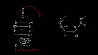 Fischer to Haworth mechanism of Glucose chain to ring structure [upl. by Kluge543]