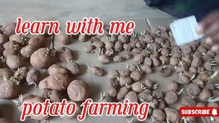 Potato Farming Gardening Shoot Development  Agricultural  Shooting process of potatoes [upl. by Ennaitak]