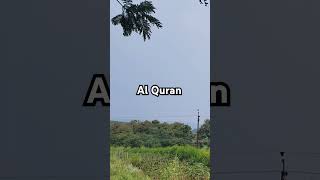 Quran ✨♥️ urdu translation quran trending shorts youtubeshorts AsWorldA2Z [upl. by Ahsatan]