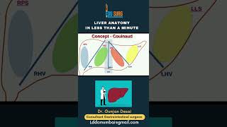 Liver anatomy simplified  Couinaud classification  segments of liver  lobes of liver shorts [upl. by Scarlett617]