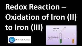 Redox Reaction  Oxidation of Iron II to Iron III  Redox Equilibrium [upl. by Cardon446]