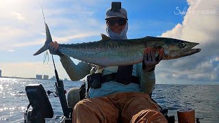 Finding Nearshore Kingfish Using Smart Fishing Spots Fishing Report [upl. by Aiak2]