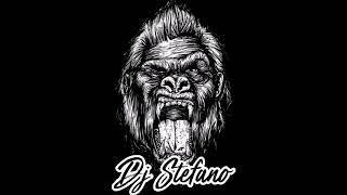 MIX Ambiente bajada a Reggaeton  MIX EVOLUCIÓN VO1 DJ STEFANO RUIZ [upl. by Nauqad441]