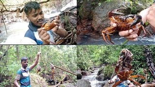 कोकणातील गांडूळ लाऊन खेकडी पकडण्याची पद्दत traditional crab catching crabs kokaniatish crab [upl. by Nnyleimaj]