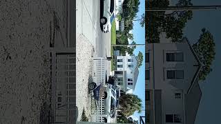 September 30 2024 Bayshore Tampa [upl. by Elsworth611]