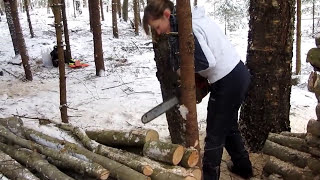 husqvarna 346 xp my wife in the forest [upl. by Taub475]