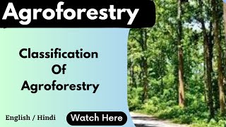 Classification of agroforestry  scoringscience [upl. by Fabiano]