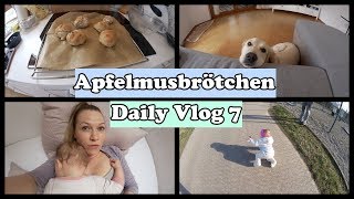 Apfelmusbrötchen  letzter Daily Vlog  Tag 7 [upl. by Arundel987]