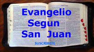 Evangelio Segun San Juan Completo Narrado [upl. by Sorac730]