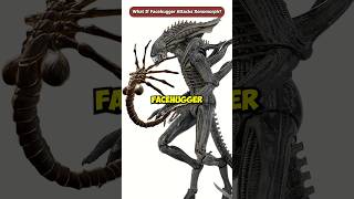 What If The Facehugger Attacks A Xenomorph shorts viral [upl. by Saval]