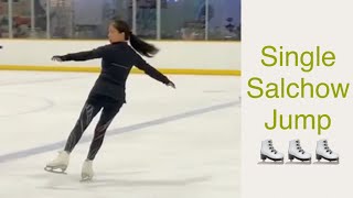 Single Salchow Jump  Auski  16 June 2019 [upl. by Allimak]