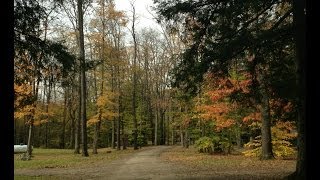 NY  Allegany State Park Creekside Cabins [upl. by Anived166]