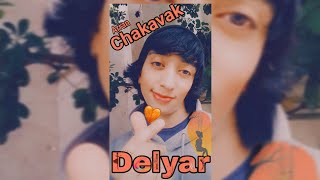 Delyar  Sara Naeini Vocal Cover by Chakavak [upl. by Ahsiaa]