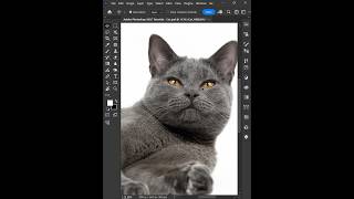 Adobe Photoshop 2025 Tips  Clone Stamp Tool ducthangds phonk gigachadtheme [upl. by Jonette42]