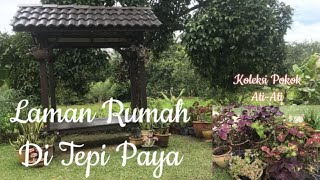 Hias Laman Rumah  Kenali Bunga Tanaman Herba amp Ulaman  Small Landskap Decorations [upl. by Ladiv338]