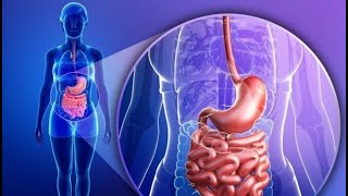 How Stress Wrecks Your Gut Microbiome Weakening Your Immune System  Microbiota  Health [upl. by Seebeck]