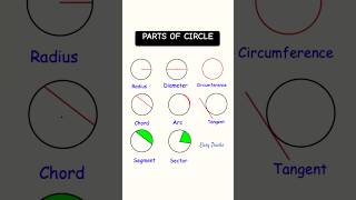 Parts of the Circle mathsclass circle shorts shortvideo shortsfeed [upl. by Ally]