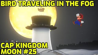 Super Mario Odyssey  Cap Kingdom Moon 25  Bird Traveling in the Fog [upl. by Daiz]