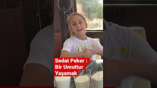 Sedat Peker  Bir Umuttur Yaşamak short shorts shortsvideo [upl. by Ades415]