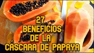 27 Beneficios de la Cáscara de Papaya [upl. by Whitman]